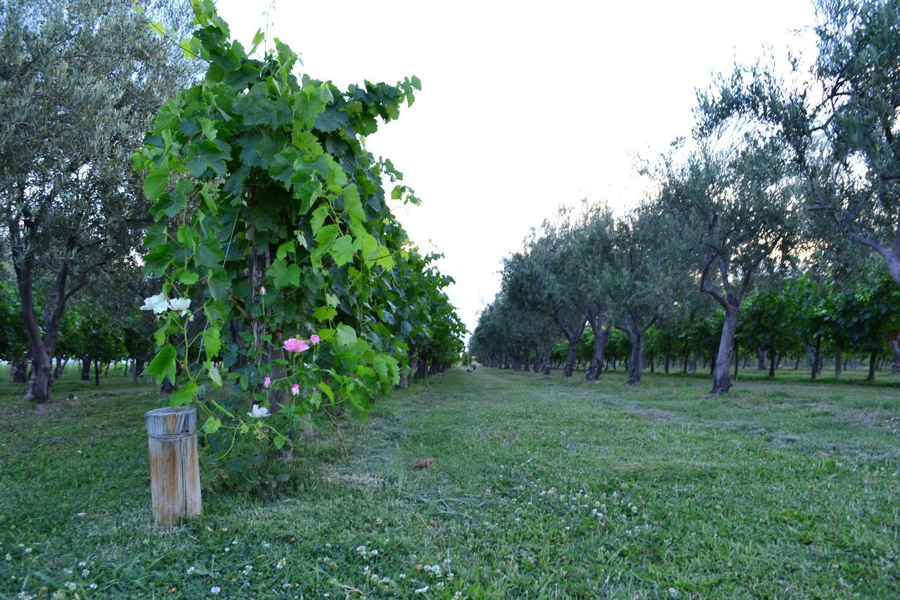 Finca Fisterra Maipú Exterior foto